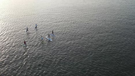 gente haciendo surf de remo en el mar azul con olas tranquilas durante la puesta de sol