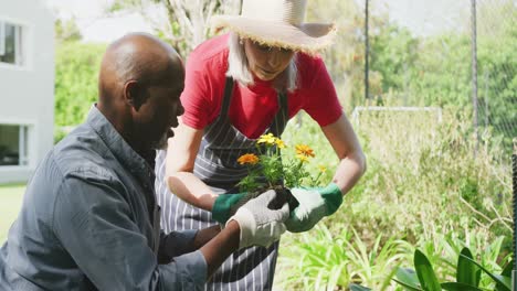 feliz pareja de ancianos diversos trabajando en el jardín