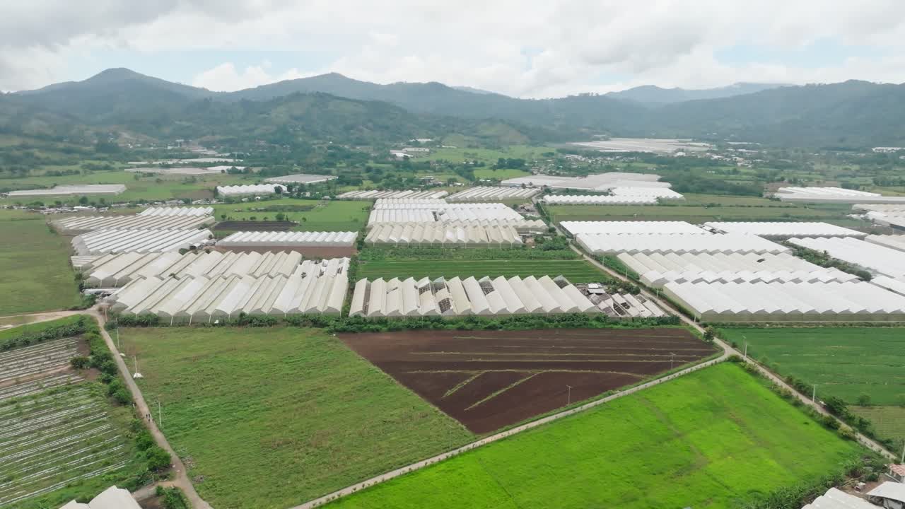 Large commercial greenhouses in rural valley, modern agricultural technology, for farming or industry content. Dominican Republic. Aerial drone panoramic view