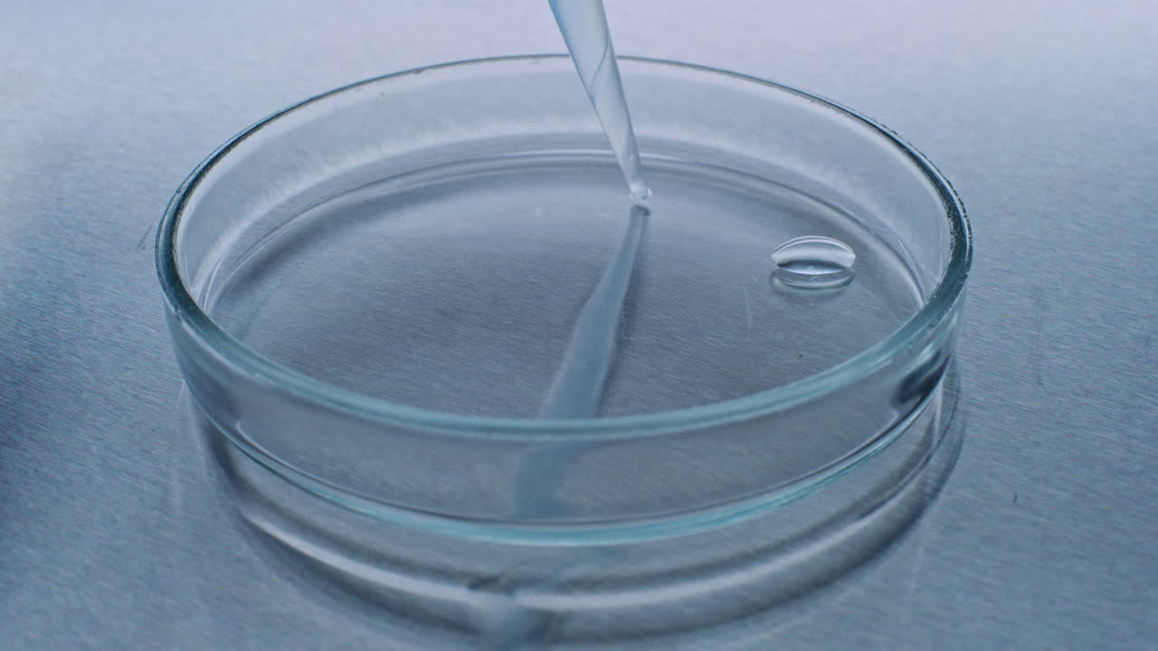 액체가 페트리 접시로 옮겨집니다.