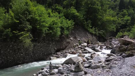 Mountain River flowing through a lush forest