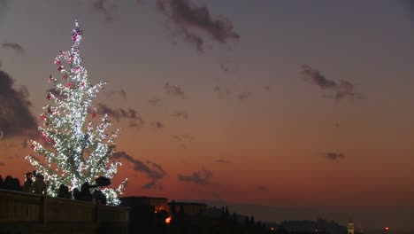 a christmas tree against the dusk