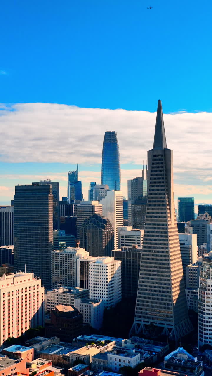 Prospettiva aerea di un quartiere finanziario cittadino con un prominente grattacielo a piramide e un'alta guglia di vetro sotto un cielo sereno. Vista dello skyline con moderne torri di vetro a San Francisco. Video verticale