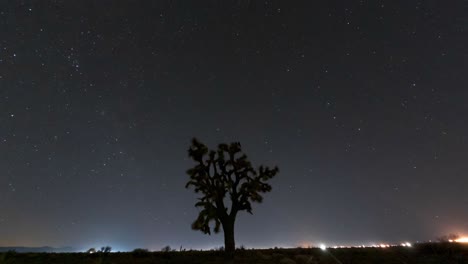 a magical starry night in the mojave desert with a joshua tree in the foreground and the milky way and shooting stars in the background - time lapse