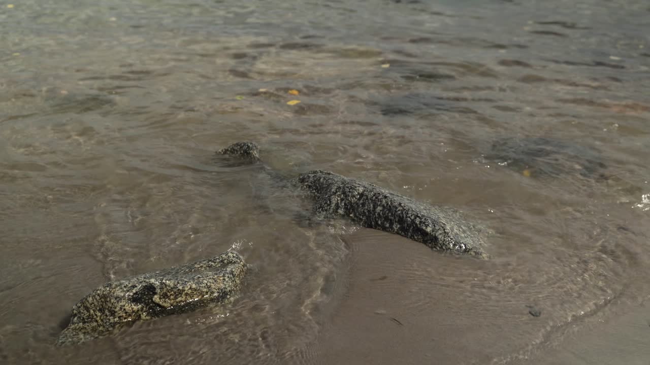agua lamiendo suavemente en la orilla de la bahía de käsmu, mar báltico, estonia