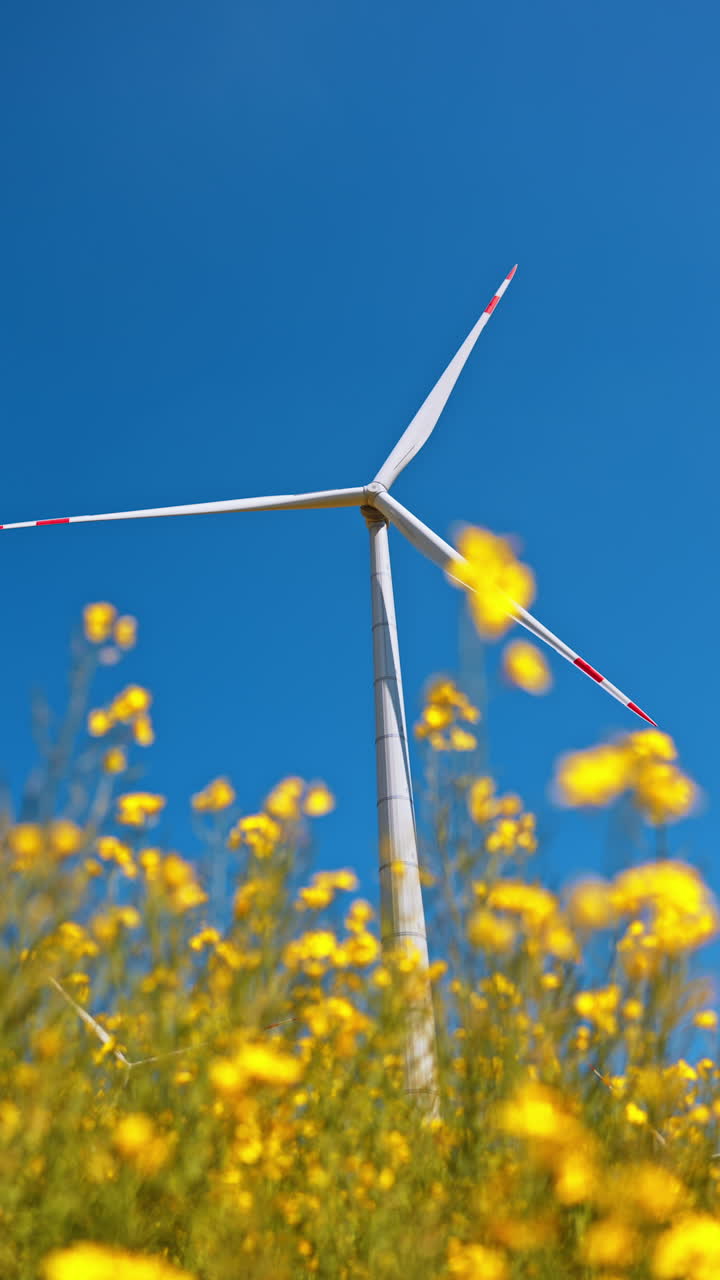 Turbine rises over yellow blooms. A wind turbine rises above vibrant yellow flowers under a clear blue sky, showcasing renewable energy in nature