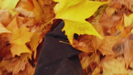 a shot from above of feet kicking foliage on the sidewalk