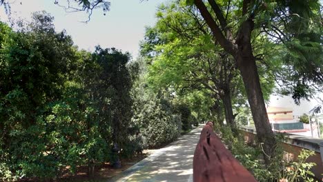 Ein-Cooler-Weg-In-Einem-Park-In-Cagliari