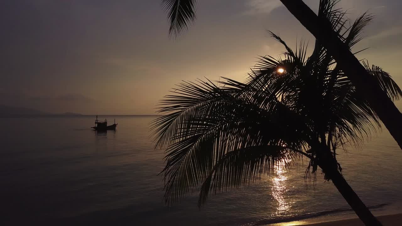 playa del paraíso con palma y barco al atardecer