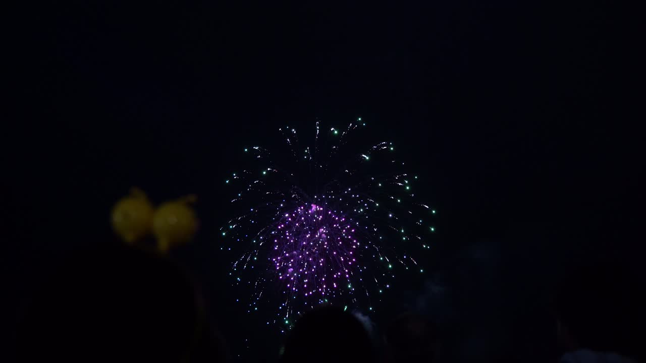 빛나는 불꽃놀이가 어두운 밤 하늘에서 폭발하고 사람들의 실루이