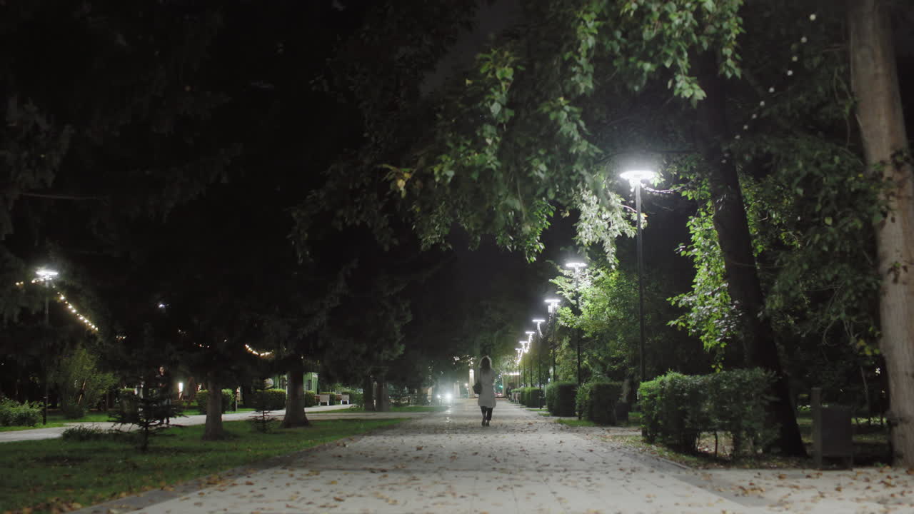 Solitary woman walks calmly through beautifully lit park at night, surrounded by glowing street lamps and scattered dry leaves on paved path, with trees and distant pedestrians