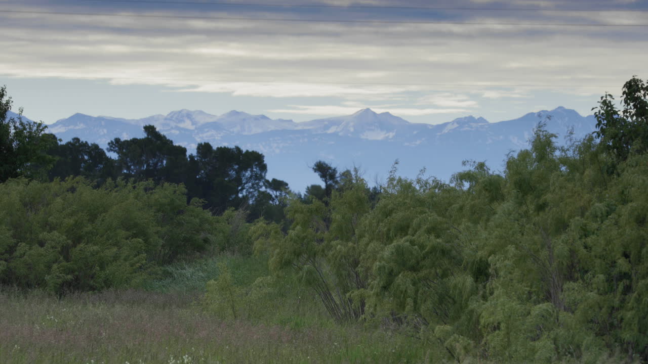 vista de idaho de las montañas nevadas de wyoming desde los árboles, posibilidad remota