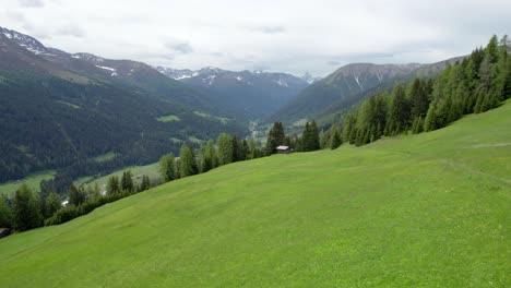 aerial drone footage flying over an alpine meadow in spring in full flower with a swiss alpine log cabin and a forest of green conifer trees and mountains in the background in davos, switzerland