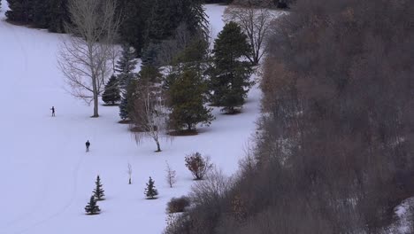 winter-aerial-hold-over-ski-resort-park-with-2-cross-country-skiers-skiing-in-the-classic-diaganol-stride-also-known-as-die-in-agony-while-the-other-freestyles-along-the-tracked-by-forest-route-2-4