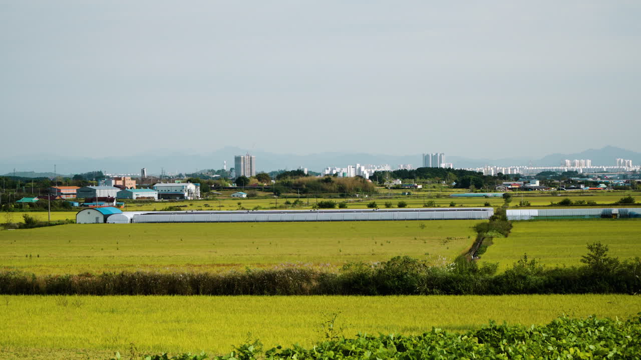 한국 북  ⁇ 라 지방 의 군산 에서 낮 에 금색 작물 이 있는  ⁇   ⁇  의 풍경