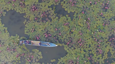 vista aérea de un barco con personas