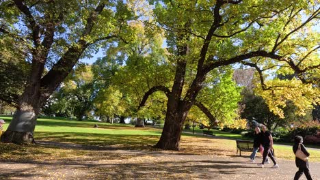 personas paseando bajo los árboles en un parque soleado