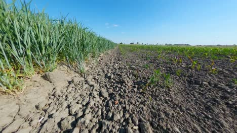 toma de sobrevuelo de vastos y hermosos campos fértiles bañados por los rayos del sol en middelburg, holanda