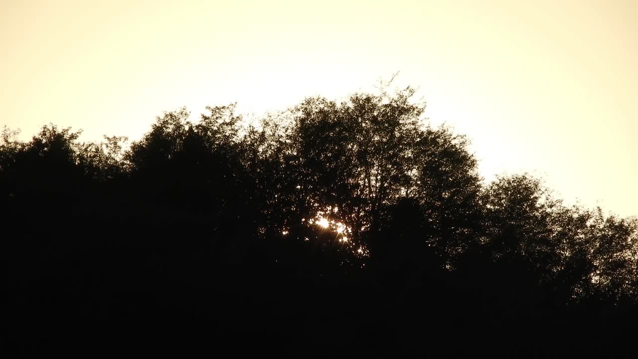 Beautiful sunset time lapse with sun going down into the trees
