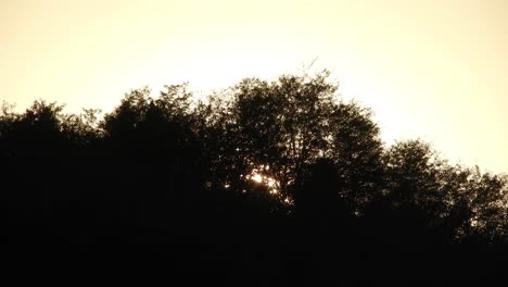 beautiful sunset time lapse with sun going down into the trees