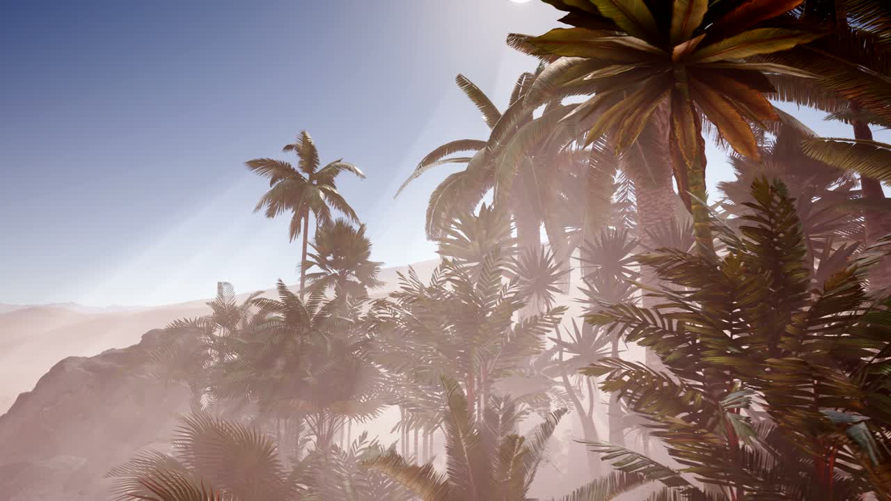 사하라 사막 의 에르그 체비 모래 언덕