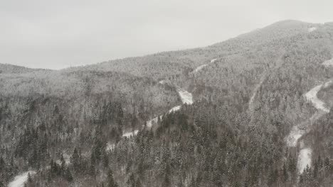 early winter snowfall covers dense forestry in dusting of snow