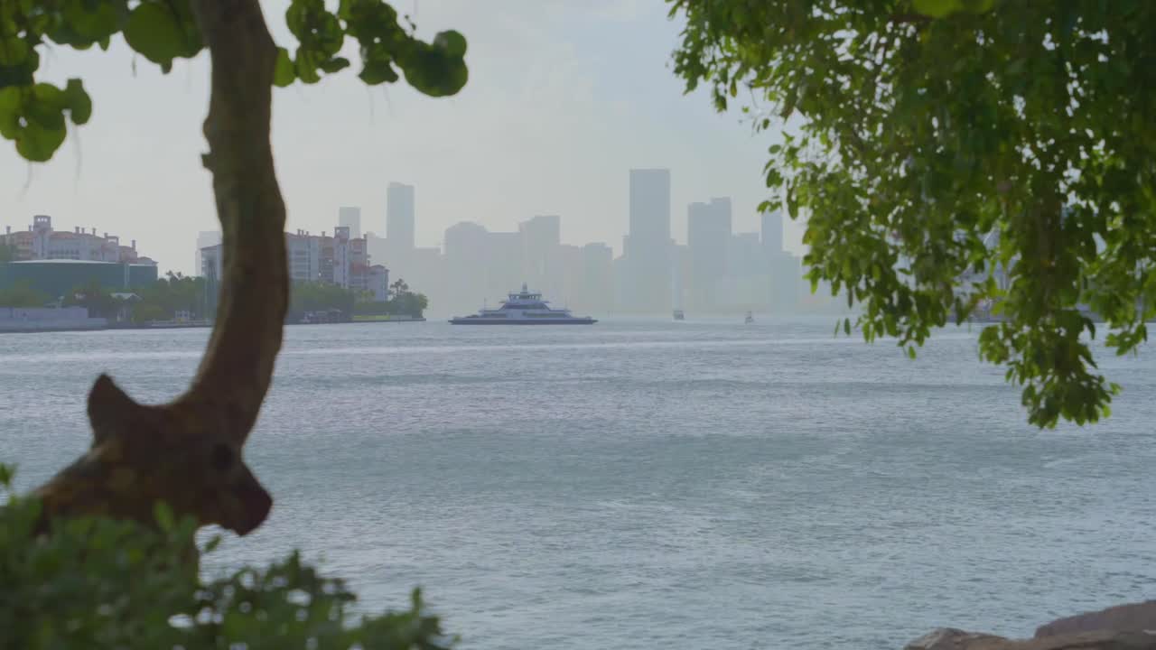 Trees and branches frame the Miami skyline across calm water, with boats crossing the peaceful bay.