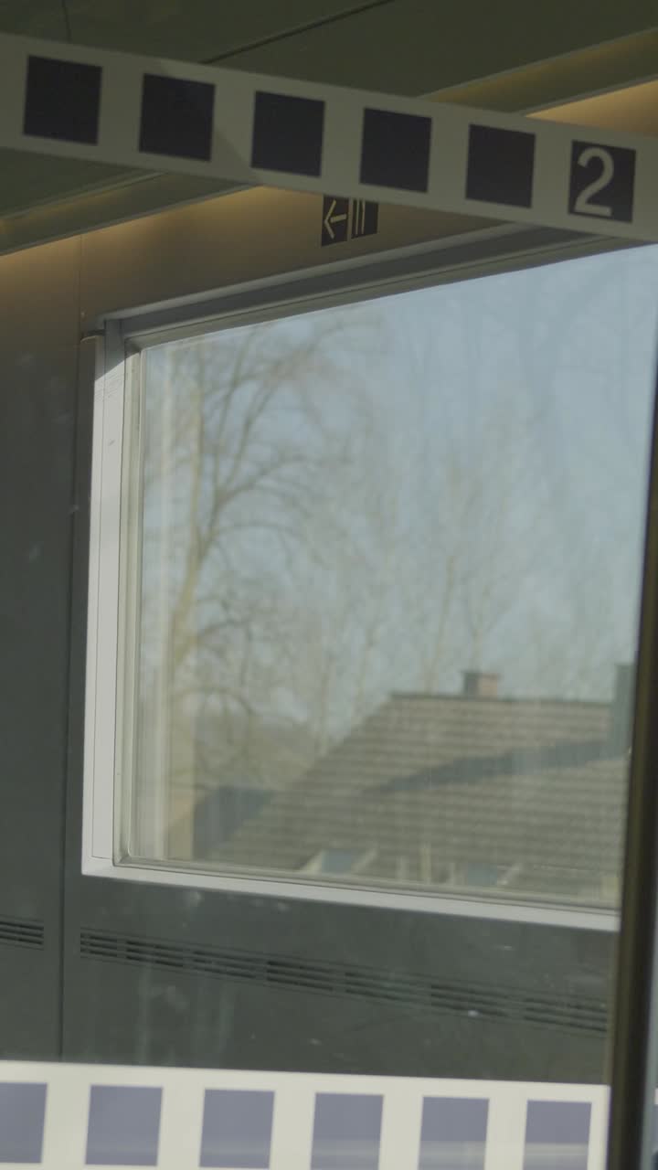 View from German ICE train window, tree blur, feeling of speed and travel