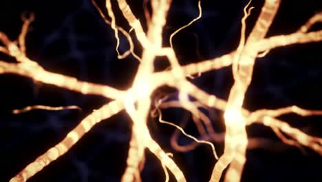 an intricate network of neurons illuminated: exploring the beautiful complexity of neural pathways in a hypothetical digital environment