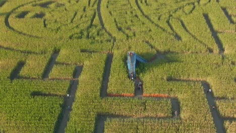 guinness book of world records largest corn maze in dixon california drone view with people walking