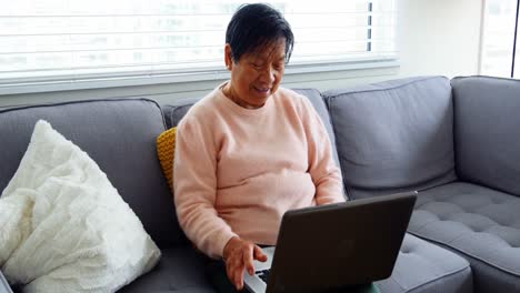 Ältere-Frau-Benutzt-Laptop-Im-Wohnzimmer