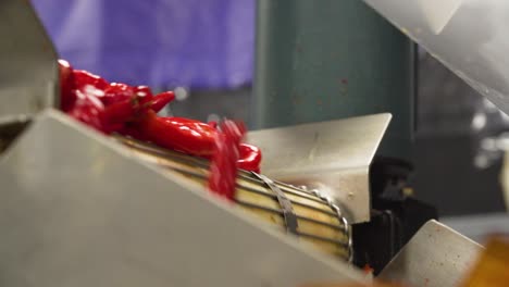 primer plano de pimienta roja de cayena en el transportador de la máquina de cinta de malla automática en la fábrica de ee.uu.