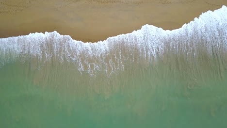 aerial view of looping turquoise ocean wave reaching the coastline. beautiful tropical beach from top view. summer holiday vacation concept.