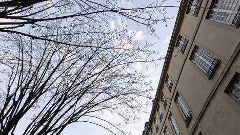 looking up at a building framed by leafless trees