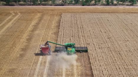 vista aérea detrás de una cosechadora de trigo trabajando y también descargando a un contenedor detrás de un tractor