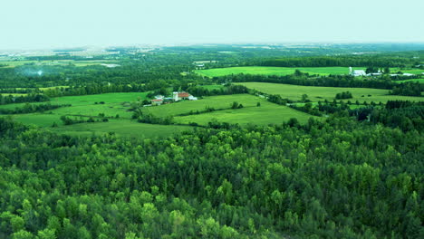 Wide-Aerial-view-of-big-forest,-Cheltenham-Badlands-Canada-landscape,-rural,-road,-shot-flying-over-a-green-coloured-forest,-gorgeous-wilderness,-wild-place