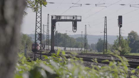 Freight-train-passing-by-with-focus-on-the-cargo-containers,-blurred-natural-foreground