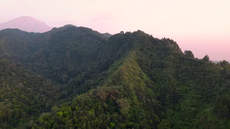 Verdant-forest-scenery,-bright-sky-with-mountain-silhouette-during-sunrise