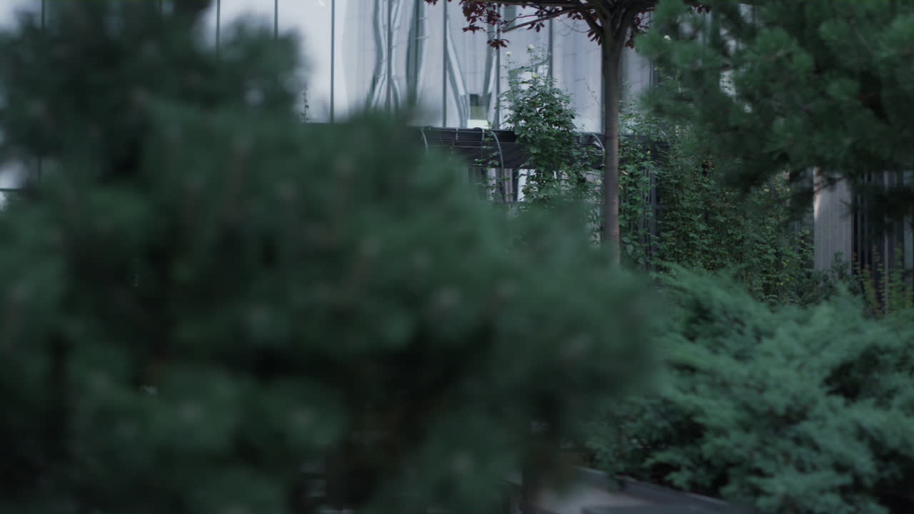 아침 에 사무실 건물 에 있는 초록색 정원. 시내 의 평화로운 휴식 장소