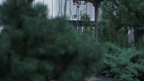 green garden at office building in morning. peaceful relaxing spot in downtown