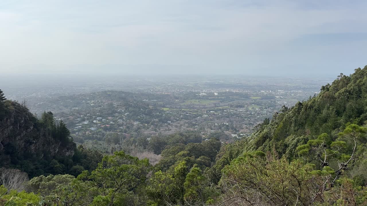 Forest Views from Cecilia Forest in Constantia, Cape Town