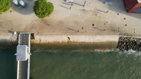 Aerial view from people jogging in Lisbon riverside and they shadows reflected in pavement,Portugal