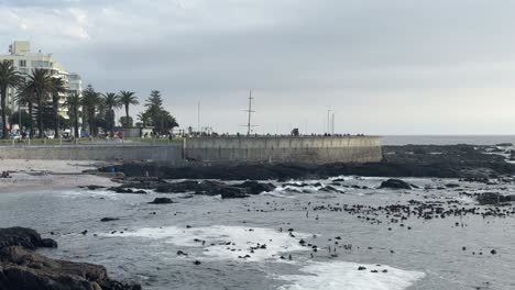 the sea point promenade on a sunday in cape town, south africa.