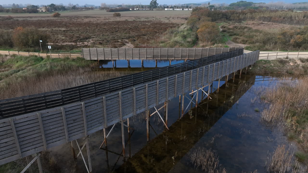 деревянный пешеходный мост, перекинутый через природный заповедник наблюдение за птицами водно-болотные угодья