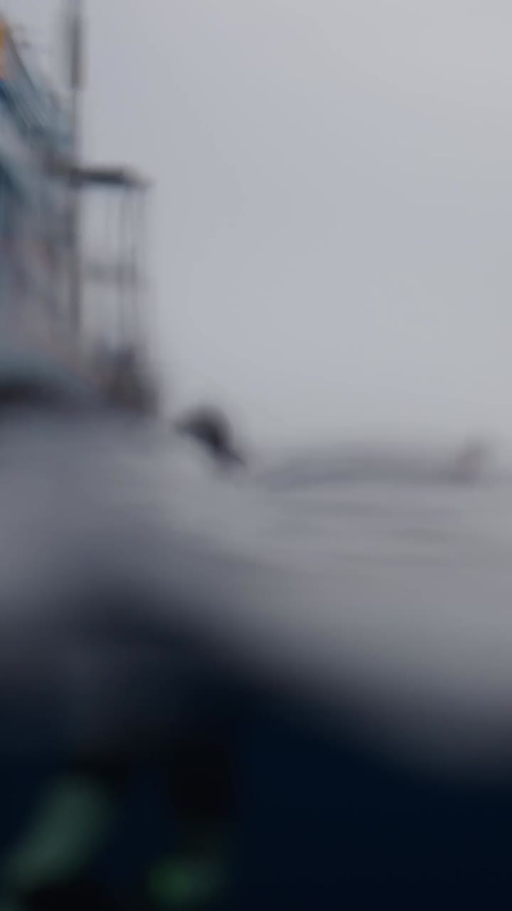 Scuba divers in the ocean