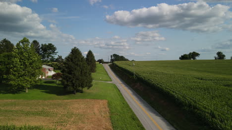 Countryside-road-next-to-cornfields