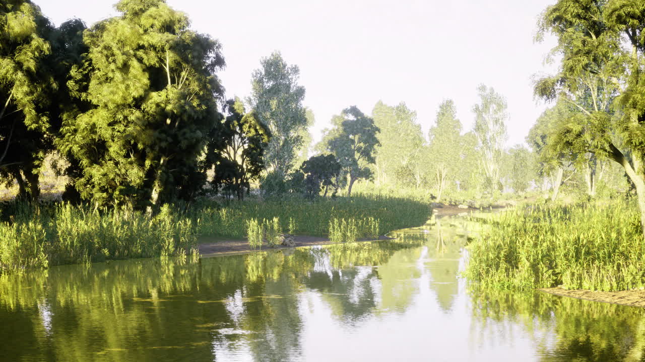 Scenic riverside view with lush greenery and calm waters in bright light