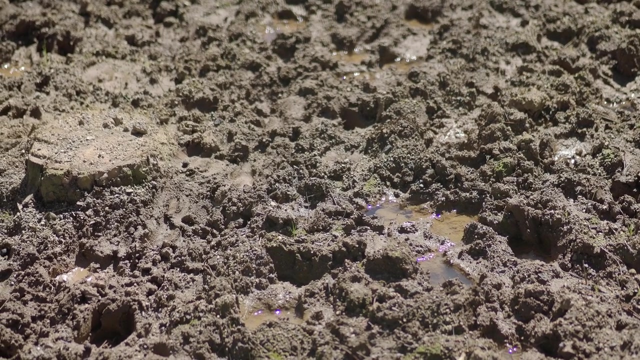 Close-up van modderige grond met plassen die zonlicht weerkaatsen