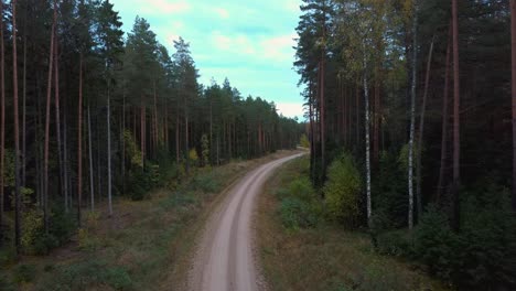 Gravel-Country-Road-in-Green-Pine-Forest-Woods-Growing-Both-Sides