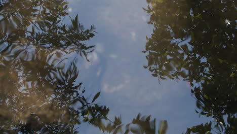 slow motion medium shot of a stream with the sky and trees reflected in the water